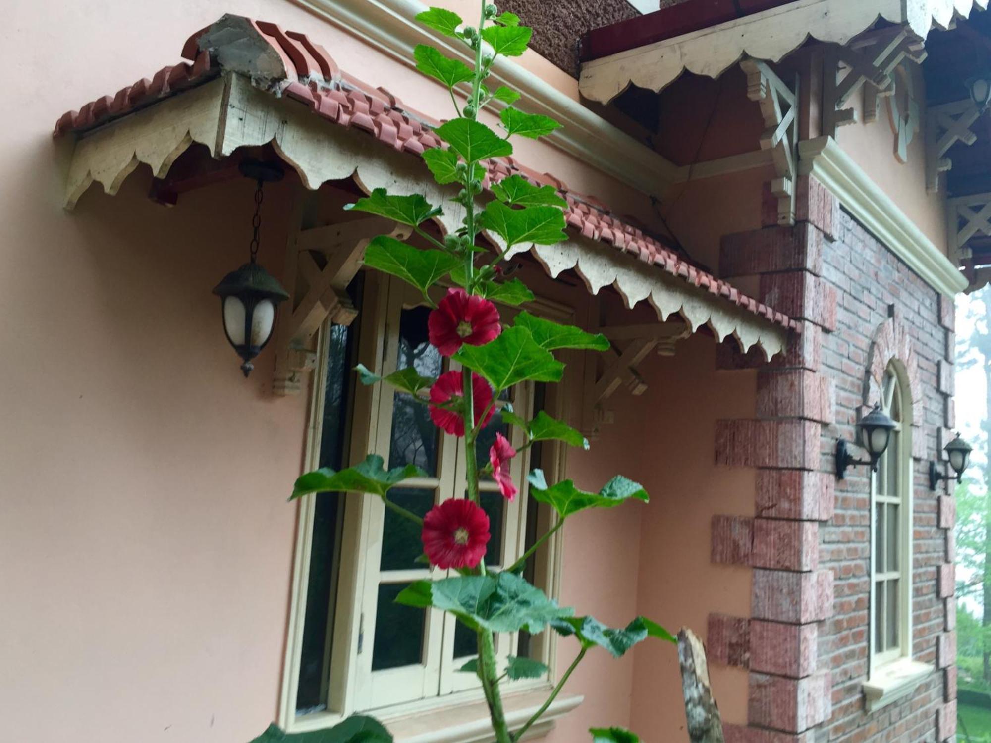 Sapa Garden Bed And Breakfast Экстерьер фото
