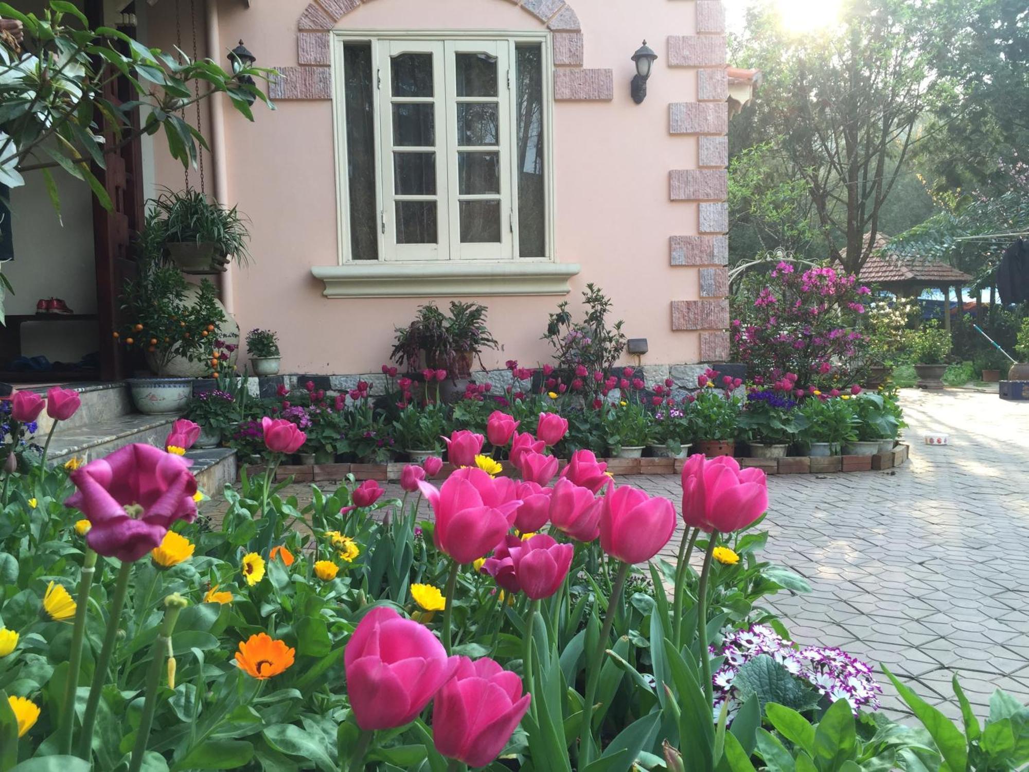 Sapa Garden Bed And Breakfast Экстерьер фото