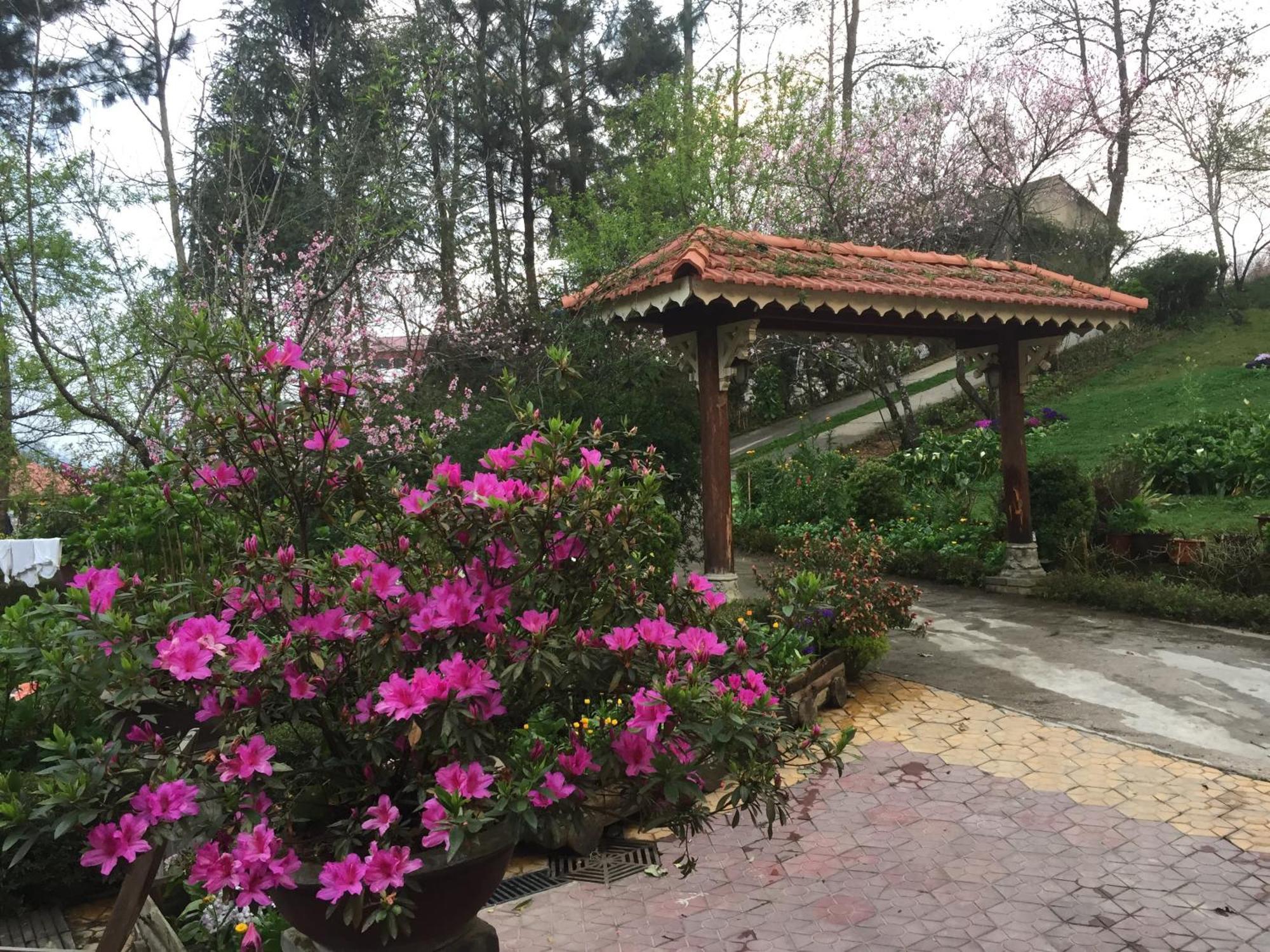 Sapa Garden Bed And Breakfast Экстерьер фото
