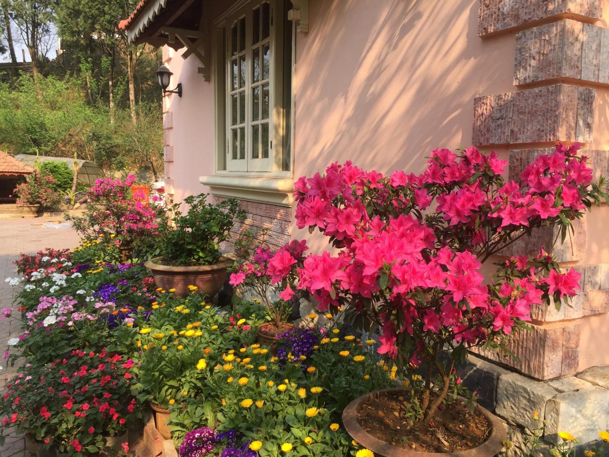 Sapa Garden Bed And Breakfast Экстерьер фото